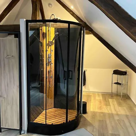 Magnifique Duplex En Plein Centre Auray